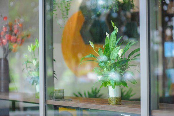 Bien choisir son food truck : 5 conseils clés